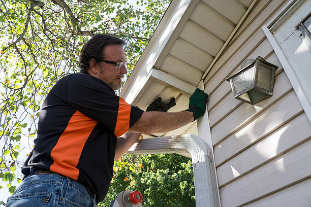 Best Attic Cleanout  in Nevada, IA